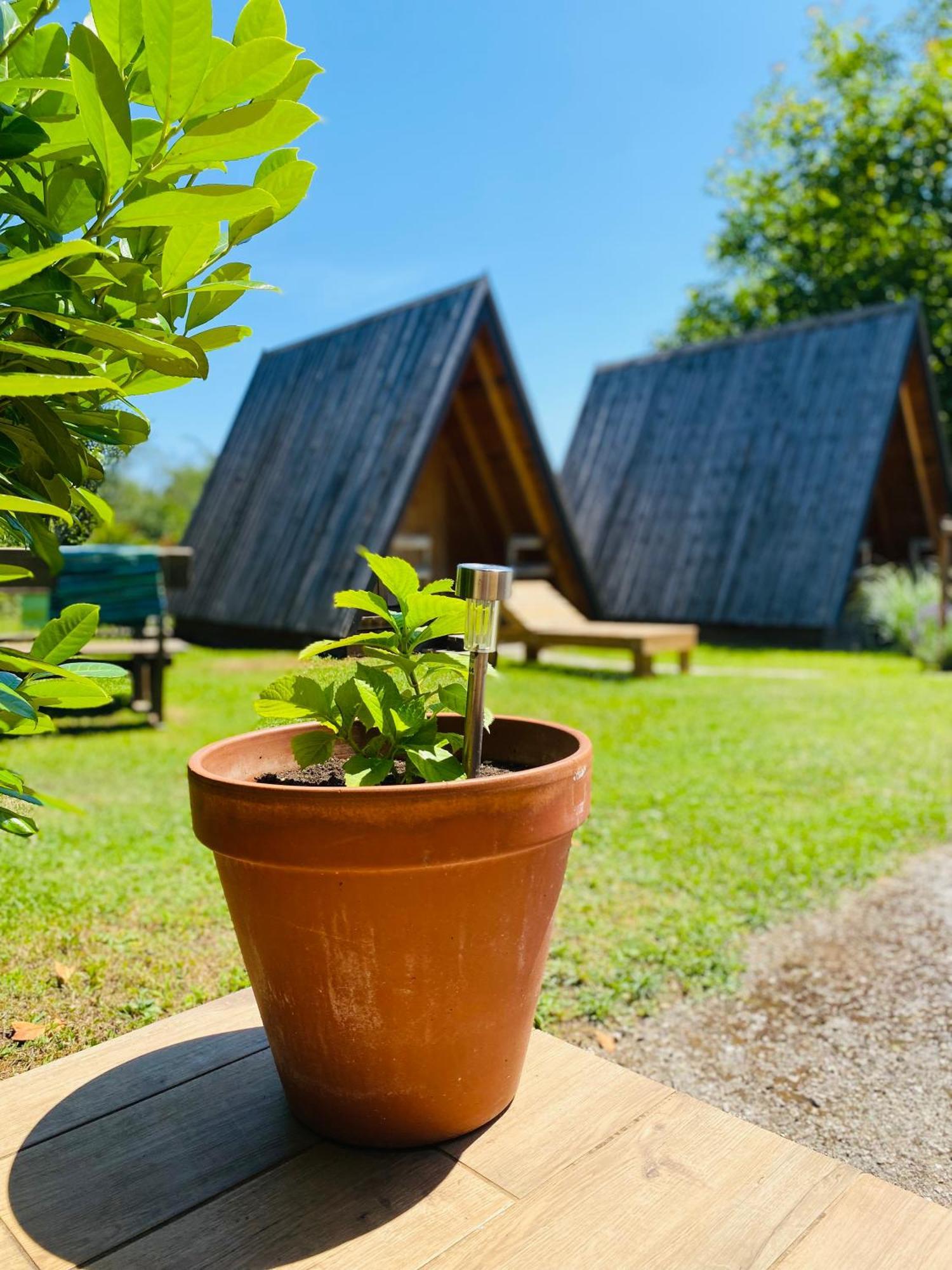 & Glamping Lana Haus Hostel