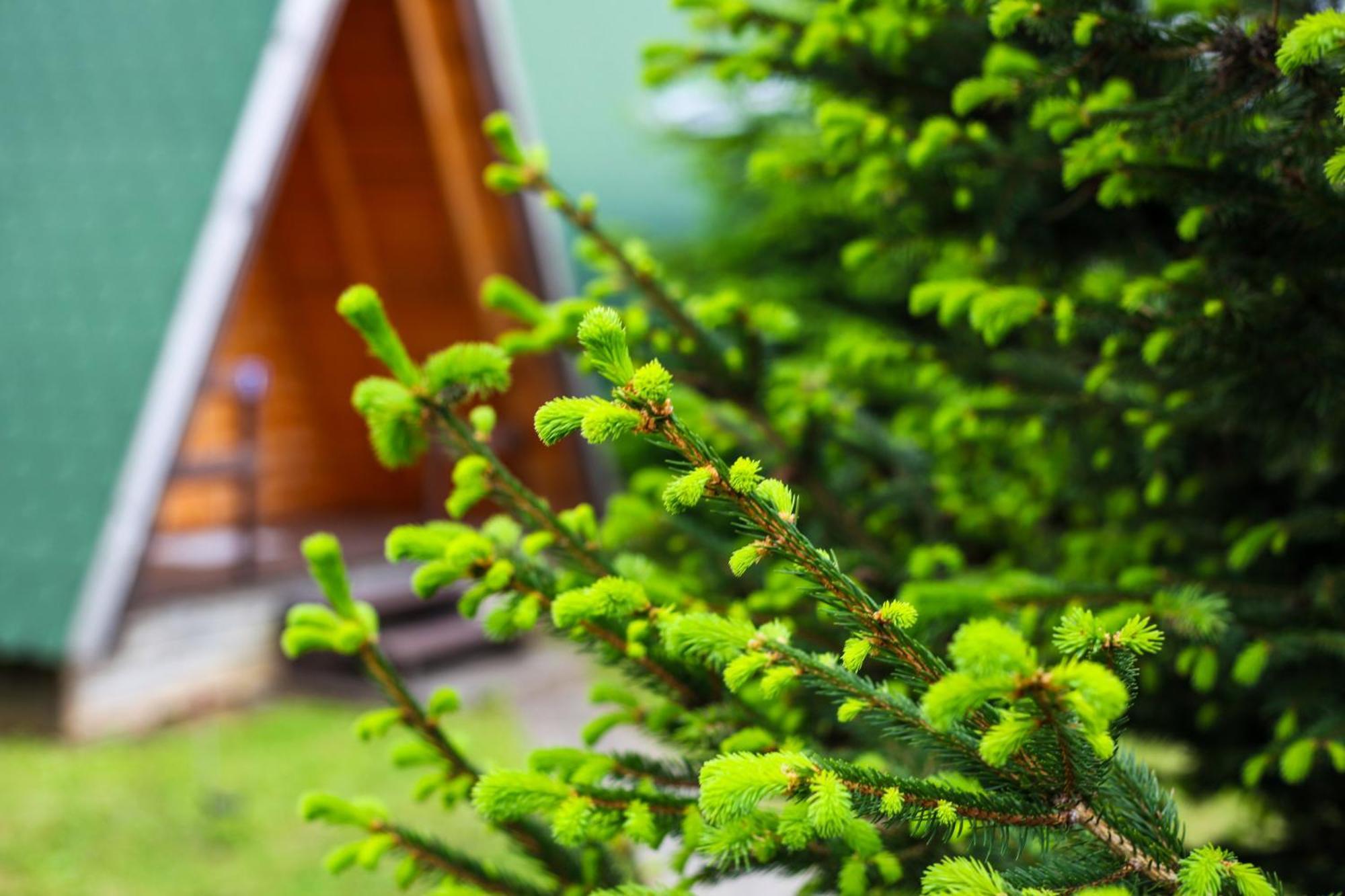 Hostel & Glamping Lana Haus Licko Petrovo Selo