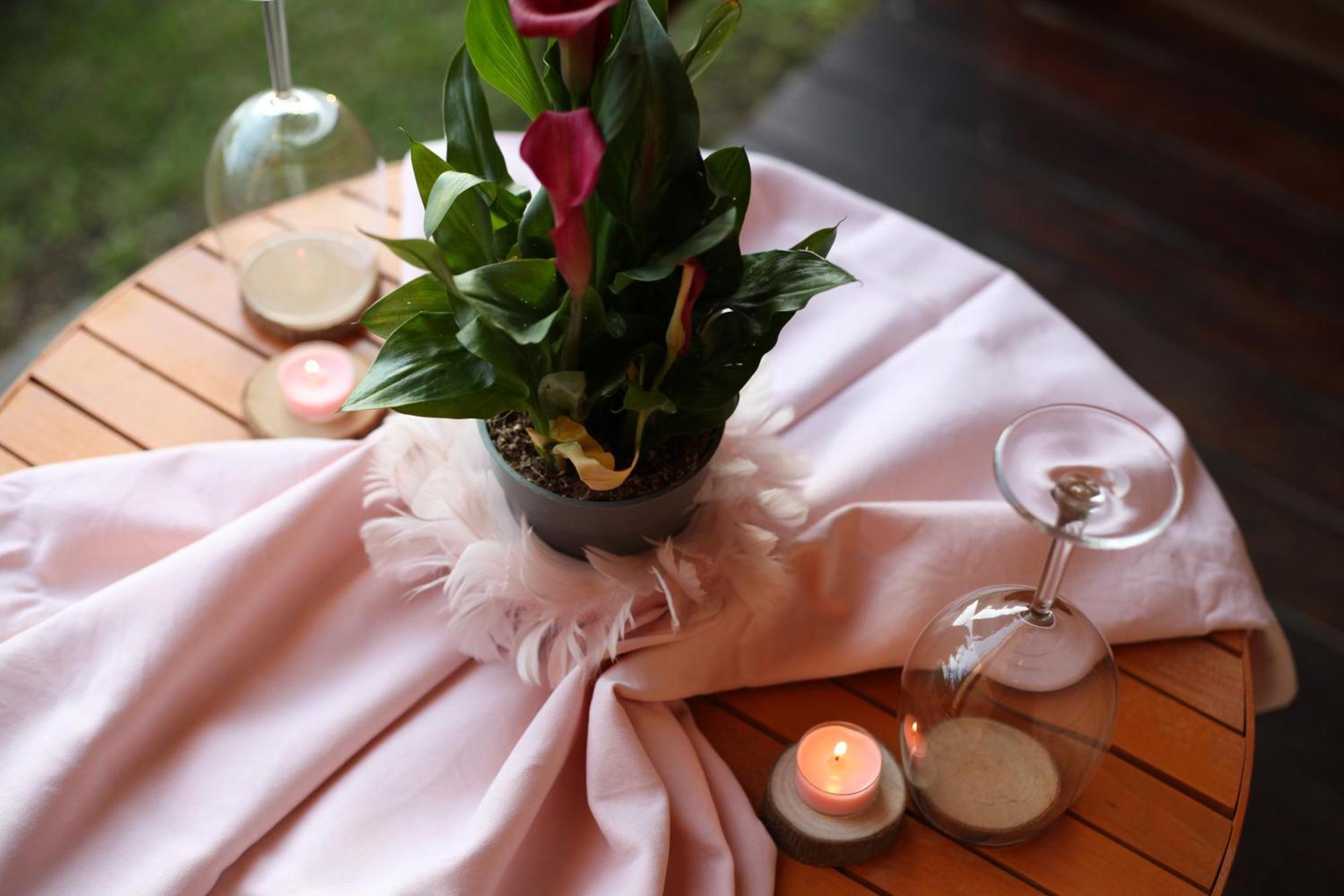 Hostel & Glamping Lana Haus